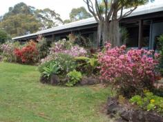  1184 Williams Rd Lillian Rock NSW 2480 OFFERS AROUND $550,000 VENDOR SAYS SELL! A one of kind, 3 bedroom besser-brick rendered home positioned on approximately 69 acres.  Functional kitchen which opens to large dining & living area. All bedrooms are generous in size and two boast built-ins. There is also a sewing room, which could be used as an office or additional bedroom. The bathroom has beautiful slate tiling and has a separate shower and bath. Throughout the home there is beautiful raked ceilings & brickwork. There are verandahs on three sides of the house that take in the spectacular rural outlook. There is a fully-fenced above-ground pool with deck, perfect for those hot summer days. There is a single garage, carport & work shed for Dad to tinker in. The acreage consists of mainly open country with good stands of timber on a high knoll. There is 2 wells which run-off into a spring-fed dam. With the school-bus running past the front gate, this property is the perfect place to raise a family. Only 15 minutes to Nimbin, 25 minutes to Kyogle and 40 minutes to Murwillumbah & Lismore 