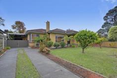  3 Grubb Ave Traralgon VIC 3844 $230,000  Fantastic First Home buying Sale by Negotiation Looking to get into the market for the first time, invest or even upgrade then this home will suit you. Fantastically located in the West End of Traralgon, close to schools and shops this home is ready to move straight in and enjoy. Spacious living areas, generous bedrooms and an up to date kitchen when coupled with the high ceilings, decorative cornices and solid timber architraves make this a home that will be a pleasure to live in. Gas heating, secure yard and a lock up garage complete the package. Price Guide: $230,000 Plus   |  Type: House 