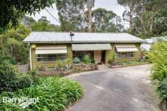  50A Thompson Rd Upwey VIC 3158  $430,000 In The Heart Of Town...'The Cottage' Don't be deceived by the little cottage frontage, the front door opens to a spacious two storey home with 3 bedrooms, full ensuite to the main, two separate living areas, family bathroom, kitchen and laundry/storage. The home will welcome your updates to make it your own, and with an idyllic setting, in ground swimming pool and an allotment of just under 1/2 an acre you will be pleased to see the whole package and delight in planning your renovations. Just a short stroll takes you into Upwey Township, CBD rail connections, buses, schools and shops. It's central and convenient. Come and see 50A Thompson Road today! Features Built-In Robes Deck Pool (In-Ground) Open Fire Place Floorboards Price Guide: $430,000 Plus   |  Land: 1,965 sqm approx 	  |  Type: House  