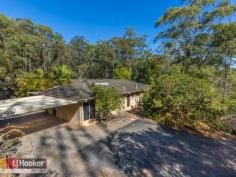  16 Starling St Warner QLD 4500 $750,000 Fantastic Dual Living Home In Untouched Bush Setting Tucked away from the busy roads and set back from the street, you will enjoy the privacy this 6 bedroom Dual Living home has to offer.  The home has been built on a big block (6002m2) of untouched natural bush gardens.  While you are enjoying breakfast in one of the two outdoor entertaining areas, you may encounter some of the wildlife that has been seen in the gardens, such as, kangaroo's, bandicoots and koala's.  This lowset, solid brick house has two driveways leading up to either side of the home. If you are a family looking to care for your grandparent(s) or extended family but still want to give them independence, then this could be the solution.  It is essentially two houses with a lock up garage in between both living areas.On one side of this unique home there is 3 bedrooms with a kitchen, generous bathroom, dining area, laundry and a massive lounge room with new carpet. When you walk through to the other side of the home, you will find 3 bedrooms with an extra study, a two way bathroom, laundry, kitchen and once again a massive lounge room that will impress. There has just been new carpet laid throughout and the home is ready to be lived in straight away.  If you are an Investor looking for a unique investment property, then I suggest you cast your eyes on this gem! It can show dual income providing dual return. This property has been recently been rented out to two separate tenants and lends itself beautifully for this purpose.  With the Brisbane CBD being only 22km away, and the local Tavern, Shopping Centres and schools all being close by. It is attractive to many people and will appeal to many potential tenants. Marsha Isaak from LJ Hooker Petrie says "A great opportunity for the Serious Investor out there or families looking for extra room and comfort."  If you are curious and would like to view the home, I suggest you call - Marsha Isaak on 0403 511 417   Property Snapshot  Property Type: House Construction: Brick Features: Ceiling Fans Close to schools Close to Transport Dining Room Dishwasher Lounge Pergola Rumpus Room Side Access Study 