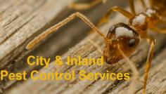  City and inland Perth 