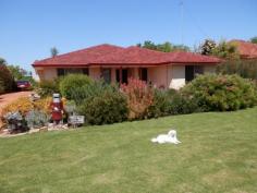  9 Harvey St Harvey WA 6220 $375,000 4 x 2 in town 4 bedroom 2 bathroom, brick & tile home only 10 year old. Large ktichen/dining/family plus theatre room. Ducted evaporative air conditioner, tile fire and gas heater, built in robes to all bedrooms. 40 x 30 Shed with concrete floor. All on large 1012msq block.   Property Snapshot  Property Type: House Construction: Brick Land Area: 1,012 m2 
