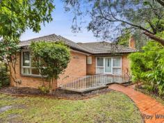  305 Station St Box Hill South VIC 3128 Developers and Home Buyers the Options Are Vast Located on the corner of Douglas Avenue and Station Street is a delightful and appealing exceedingly spacious family home with potential as a dual occupancy site (STCA). Situated in a great location close to Kingswood College, Aldi, thriving Box Hill Central and Riversdale Road for access to the Golf Course, Deakin University and Wattle Park. This brick veneer home has been a loved and cherished family residence with 4 bedrooms all with built in robes, a master bedroom with an ensuite bathroom and a very private Westerly garden. Other features include a bright morning sun filled formal living room, separate dining, extended casual entertainers family room, a large outdoor paved pergola BBQ area and under building cellar/storage. Land 605 .50 m2 approx: 15.18 x 40.03 