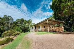  431 Blackall Range Rd West Woombye QLD 4559     $549000 	 Private and peaceful hilltop, rural living here with a well built brick home, a couple of sheds for workshop and storage, views, breezes - very relaxing. The brick home is approx. 1960's era with high ceilings, polished timber floors and spacious dimensions. Spacious country kitchen with plenty of room to renovate it into something very special. There are 4 bedrooms plus a large sunroom which could be a 5th bedroom or sunny, spacious office or hobby room which looks out over the front paddock. Connecting with the house is a high roofed double carport and large all weather bbq area - a great spot to entertain and enjoy the ambience and outlook. There are two shed structures - plenty of storage and workshop space. On 3 sides of the property - it is privatised by established trees and vegetation with the Front North facing aspect open. There are open paddock spaces which would be ideal for keen gardeners to create tiered fruit and vegetable gardens or for kids and pets to play and roam freely. There are a few odd jobs to do around the property which will add further value to this property. Location is excellent - right at the top of the hill..approx. 5kms or 6 -7 minutes drive from Woombye town centre, shops, services and rail transport. This motivated seller is ready to move on - please contact Kirk Patrick or Gary De Paoli of Riddell Real Estate to arrange your inspection. Features Skylight Courtyard Undercover outdoor area Smoke Alarms Safety Switch Electric stove Oven Hot plate Electric hot water system Ceiling fans Property Details Bedrooms 		 4 Bathrooms 		 1 Car Ports 		 2 Land Area 		 6133 m2 