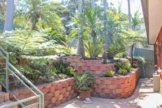  10 Binda St Keiraville NSW 2500 $785,000 3 Bedroom Brick Home Immaculate 3 bedroom brick home located in a sought after suburb. Featuring 3 bathrooms, high ceilings and polished timber flooring. This property comprises of magnificent ocean, city and escarpment views. Kitchen with ceasarstone bench tops and high-end stainless steel appliances. Extra large modern main bathroom, spacious living/dining areas with plenty of natural light. Downstairs potenical for separate accommodation. Huge garage with workshop and storage areas. Perfectly manicured gardens on a low maintenance block. Situated in a prestigious suburb minutes to Wollongong University, shops, schools and public transport.  Property: 	 House Bedrooms: 	 3 Bathrooms: 	 3 Parking: 	 1 Local Amenities: 	 Schools Community Centre Railway Station Bus Service Shops Sports Field & Club Hospital Nursing Home Child Care Centre Playground University Park Council: 	 Wollongong 
