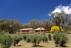  44 Tierney Lane Mudgee NSW 2850 $1,560,000 Wombadah Luxury Guest House The Offer On offer for sale is the freehold of a purpose-built guest house and its well-established Bed and Breakfast business. The sale is inclusive of the website, the business name and the furnishings of the four guest rooms along with some custom made main house inclusions. The Property The property is on a 9.4 hectares parcel of land located just outside the township of Mudgee in an area known as the golden triangle on account of its numerous family owned vineyards. The improvements consists of a two level guest house with a single carport, additional under-the-house garaging for 7 cars, an in-ground solar heated pool with a gas heated spa, a wine cellar and a store room. There are also two large water tanks that keep the property well supplied with water.  The house was built in 2004 and is designed to provide privacy to guests and owners with a separate guest accommodation wing that can be accessed directly from the garage area and through a pool side courtyard. The guest wing contains four luxuriously appointed and spacious guestrooms, all with King beds, a sitting area and ensuite bathrooms. Each of the tastefully decorated rooms has access to the North facing balcony that overlooks an olive grove and provides uninterrupted views of the Cudgegong valley below with its lush greenery and boutique wineries.  The main part of the house comprises of a large lounge area with a cosy fire place, an adjacent dining room, a reading room, a study, a laundry and a disabled friendly bathroom. A well designed and fully equipped kitchen with walk-in pantry is directly opposite the dining room where breakfast is served for up to 8 guests. Upstairs there is an owners retreat with a lounge room, a master bedroom with ensuite, spa bath and walk-in robe.  The Business The BnB business is well established with 11 years track record. It enjoys repeat business and a great reputation for high quality hosting. It is rated 4 ½ stars by Star Ratings Australia and is mainly focused on couples only. It is positioned as a luxury weekend retreat or short stay for couples looking for a romantic getaway or a unique experience with a minimum of two-night stays. The current owners have deliberately favoured week-end occupancy over mid-week in their business promotions to maintain their chosen lifestyle. Despite this, turnover is healthy at approx. $100k per annum. There is room for growth for new operators willing to target the mid-week trade.  The Location The charming country town of Mudgee is located just over 3.5 hours from Sydney and 4 hours from Newcastle. It has a dynamic and friendly community and a strong and diverse economic base. Whilst well known for its fine wine, it is also blessed with historic buildings, boutique shopping and sophisticated dining options. The region is a popular destination for tourists and receives more than 496,000 visitors each year that come to enjoy the delicious local wine and food and the many sporting, market and cultural events that occur throughout the year.  Agent’s Opinion: This spacious house sits on the side of the hill in a serene bush setting. The interior is bright and airy and well laid-out. There is a number of relaxing outdoor seating areas pool side and on the balcony with delightful valley views. The business is easy to run and offers a great lifestyle with substantial income relative to the investment. This opportunity would suit a couple looking to enjoy a more relaxed lifestyle without sacrificing income Price 	 $1,560,000 Title 	 Freehold State 	 NSW Region 	 Central NSW Suburb 	 Mudgee Postcode 	 2850 Property Type 	 Hosted Accommodation Operating Status 	 Going Concern 