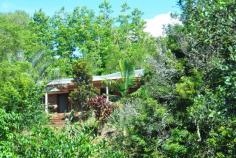  6 Karinya Pl Clunes NSW 2480 $475,000+ Elevated solid brick home with 3 way bathroom Land size 4,884m2 with a small watercourse & established trees Like rural living with all the village conveniences. Easy walk to Clunes shops, cafe, school & tennis courts Easy reach to Eltham, Lismore, Bangalow & beaches of Byron Bay Located at the end of private cul-de-sac Zoning allows for a secondary dwelling (subject to council approval) Property ID: 1P0899 Property Type: House Land Size: 4884m² approx. Garage: 1 Features: Area Views Built-In Wardrobes Bush Retreat Close to Shops Close to Schools 