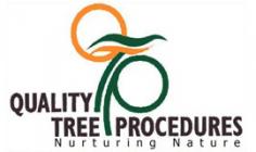 Tree Removals Gold Coast For Tree Removing, Stump Removals, Stump Grinding, Tree Pruning, contact the Tree Removal Services Gold Coast, Quality Trees Procedures. Call us for Best Tree Removal Services. 