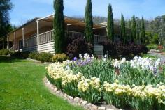  10 Buxton Rise Buxton VIC 3711 $620,000 Unbelievable House, Gardens & Views! Situated on the high side of the town on approx 6700sqm with wonderful and spectacular views to the nearby hills is where this beautifully presented and impressive property sits proudly. Features include quality window furnishings, double glazing for energy efficiency and living comfort, a separate entrance to a guest wing - which may provide extended family living options or the possibility of B&B accommodation (STCA), a wonderful feel of space with generous room sizes plus a stunning kitchen with ample cupboards and a walk in valet pantry/storeroom. The delightful sensation of the outside and inside becoming one is experienced in the dining area which is positioned along side the entertainment deck to take in the amazing sunsets and views. The home offers versatility with 4 bedrooms - all with BIR's including extensive robes in the Main Bedroom, 3 bathrooms, a central open design living area and a study/extra living space which has its own access making an ideal area if you want to work from home. This home is complemented by the parklike setting with 2 automated irrigation systems for the house gardens, a fernery/shade house, a potting shed, a 27,000 litre water tank, a low maintenance garden with bursts of colour, fruit trees, raised garden beds for the veggies, established shade trees as well as a scattering of native trees where a natural winter stream flows through. Enjoy the abundance of birdlife that visit this very special property. This fabulous package includes a double garage with internal access and a storage shed. There is the option of purchasing the furniture separately by negotiation. Located very near the town centre and with easy access to the wonderful walking tracks that surround the area, an inspection is a must. Features Shed Built-In Robes Reverse Cycle Air Con Outdoor Entertainment Area Dishwasher Fully Fenced Remote Garage Deck Study Air Conditioning Secure Parking Price Guide: $620,000 Plus   |  Type: House  |  ID #331074 
