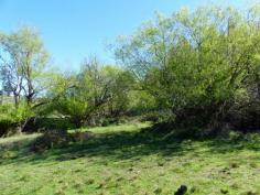  2022 Nugent Rd Nugent TAS 7172 $60,000 Nothing Nicer Than Nugent Nugent is 20 kilometres from the township of Sorell. This block of approximately 3298m2 is located right in the heart of the close-knit community opposite the local hall and alongside the quaint little church building. The triangular shaped land is reasonably level and has been well cleared making it ideal to build upon subject to approval from the local council. There is a converted container that provides shelter and temporary accommodation. It has a timber flooring, a modern kitchen and room remaining for either a lounge or bed. Sliding glass doors at the front open to a sunny deck.  So if you want to live in the country and enjoy the peace and quiet on offer at a very affordable price, check out this land and see what you think. General Features Property Type: Land 