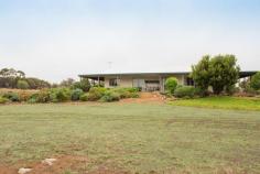  259 Bullara St Cuballing WA 6311 $379,000 Life Is Easier Here A continuous living/dining/kitchen area opens through 2 large glass sliding doors onto the front verandah, just right for your morning coffee ritual. Sit under the cover of the large wrap around veranda, watch the native birds and listen to the quiet sounds of the natural bush on your 5.5 Acre property. There are countless interesting play areas that will keep children or grandchildren occupied for hours. You and your family will enjoy the sense of space and the open vista of this semi rural property and be just 15.5km from the town of Narrogin. Wind your way up the driveway to the 6m x 6m steel frame gabled roof garage adjacent to the house. The fixtures and fittings, including the floor coverings, of this 3 bedroom, 2 bathroom home are in excellent condition. You will find a spacious main bedroom with ensuite and walk in robe, 3 other bedrooms of a comfortable size, a neat kitchen and pantry and a laundry with storage. There are 2 garden sheds and a small under cover work area. You have access to outdoor power at the front and the rear of the house for the handy person in the family. Call Sandra and inspect now. Property Details Elders Property ID: 9570938 3 bedrooms 2 bathrooms 2 car parks Land Area 5.5 acres Double garage 