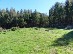  2022 Nugent Rd Nugent TAS 7172 $60,000 Nothing Nicer Than Nugent Nugent is 20 kilometres from the township of Sorell. This block of approximately 3298m2 is located right in the heart of the close-knit community opposite the local hall and alongside the quaint little church building. The triangular shaped land is reasonably level and has been well cleared making it ideal to build upon subject to approval from the local council. There is a converted container that provides shelter and temporary accommodation. It has a timber flooring, a modern kitchen and room remaining for either a lounge or bed. Sliding glass doors at the front open to a sunny deck.  So if you want to live in the country and enjoy the peace and quiet on offer at a very affordable price, check out this land and see what you think. General Features Property Type: Land 