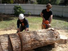 Are your looking for tree removal? Is it worrying you? Take the stress-free route out! Call the best tree removal specialist, Brothers one Tree Services. Visit https://goo.gl/Jll5sh 