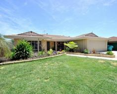  10 Cowrie Ct Waikiki WA 6169 $399,000 HOT TO TROT HEART WARMER Quality Home in a quality area. This home is looking for a young family that likes having school,shops,public transport and room to play all at your doorstep. This well planned 4 X 2 offers a front lounge, study and theatre room and a lovely kitchen with range hood over gas hotplates and oven. A grand master bedroom with ensuite and 3 queen size bedrooms for all the family to enjoy peace and quiet. Evaporative air-conditioning, gas heating and gas storage hot water system meet all the needs of a growing family. The awesome 7 x 5 colour-bond pergola and spacious 687sqm block add even more value. Settled in a quiet cul-de-sac for peace and quiet the double lock up garage and roller shutters add extra security. This home has a bore and reticulation and room for gardens and trees. Bring the children to view this property as a personal tour is required to appreciate all this home has to offer. Viewing can easily be arranged by calling your friendly neighbourhood Sales Consultant Andy Smith at Elders. Other features: Close to Schools,Close to Shops,Close to Transport,Garden,Secure Parking,Formal Lounge Property Details Elders Property ID: 10650042 4 bedrooms 2 bathrooms 4 car parks Land Area 687 square metres Car Parks: 2 Double garage Air Conditioning 
