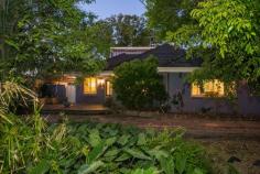  140 Leach Hwy Melville WA 6156 $600,000's 'OASIS ON LEACH - Z0NED R40 - DEVELOPMENT POTENTIAL Very private, well set back on the block and much loved family home with lots of character and a cosy feeling as soon as you walk onto the large secluded front porch and thru the front door.  The home consists of three bedrooms (two down stairs) and the main upstairs with its own private balcony. The renovated kitchen is amazing with French Provincial 'antique white' cupboards, double 'French Butler' sink, pantry and fabulous Tasmanian Oak bench tops, English 'Aga' style stove with modern convenient gas cook top and stainless steel dishwasher. The delightful formal lounge has French doors leading to a Quarry tiled terrace and has a gas log fireplace. The separate dining room also has French doors opening outdoors with the same Quarry tiles. The family room, like the dining room is north facing making a gorgeous sunny room for you to have breakie or your morning cuppa. A spiral stair case leads to the main bedroom, which is also north facing. The main bathroom has been renovated beautifully with its deep luxury spa bath and stone bench top.  The laundry is a great size with heaps of storage and separate third toilet. There are beautiful 'Jarrah'floor boards and some slate floors throughout the home with carpet in the upstairs main bedroom. Evaporative air conditioning throughout the home.  Two large rooms separate from the main home at the rear of the property would be perfect for a Teenage retreat or Granny flat - with some work done to them. Single drive through garage and plenty more space for parking. The garden has beautiful established trees, a large lily pond, recycled brick paving, lots of nooks and crannies and is just waiting for the avid gardener to put their finishing touches to this lovely property - OR eventually do a development. The block is 880sqm, zones R40 - and with approval from the City of Melville and State Planning Authority is a possible 3/4 unit site.  Even though this property is on Leach Highway, once inside the noise is very minimal. The private brick walled front makes an excellent buffer. Walk one house and you are in Potts Street and the Melville High School is right there. This High school specializes in Aeronautics. A 5-10 minute drive will take you to the Melville Primary School, fabulous restaurants, shops, transport, Melville recreation and aquatic centres, Garden City shopping/cinema/busport complex, the busport enables any College students to link up with their prospective buses. East Fremantle yacht and tennis clubs, South of Perth yacht and tennis clubs, Point Walter reserve and golf course, cycle track along the river and Bicton Water Polo club. Perth city, Fremantle and the beaches are only a 10-20 minute drive or bus ride away.  PLEASE NOTE - Shower in the upstairs bedroom and the Security System is being sold 'AS IS' Council Rates $1521.15 Water Rates $967.25 