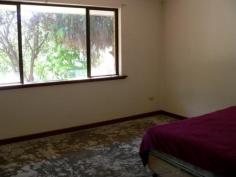  35 Pensioner Rd Kojonup WA 6395 $265,000 Blank Canvas House - Property ID: 913551 This property allows you to fit it out how you would like your new home to look. The formal lounge is at the front of the home and has a slow combustion wood fire.  A doorway of the lounge takes you into the kitchen dining area. The three bedrooms come off the central passage along with the laundry and bathroom.  In the bathroom there is a separate bath and shower. The toilet is located in the laundry. The back yard is well fenced and has a garage in the right-hand corner that is accessed down the side of the home. If you are looking for a double brick and tile home in a good location that you can add your touch to the have a look at this property.   Print Brochure Email Alerts Features  Land Size Approx. - 810 m2  Close to Schools  Close to Shops  Close to Transport  Fireplace(s)  Formal Lounge 