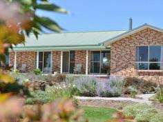  189 Bellevue Rd Tenterfield NSW 2372 $530,000 A Touch of Tuscany The new owner of this modern brick four bedroom home will enjoy stunning 360views across to the rugged New England ranges from inside and out. Open plan modern living with easy care tiled floors throughout , northerly aspect , double sided slow combustion heater into a formal lounge or family room and open plan dining kitchen area. Country style kitchen with electric oven and cooktop Four bedrooms three with builtin robes, main bathroom with spa. Verandahs front and back.Presented in immaculate condition surrounded by Mediterranean inspired gardens set on a manicured 2.9HA or 7.1 acres with tree lined drive. Large colourbond shed, 3 stables complete this idyllic lifestyle property Inspection Recommended. 
