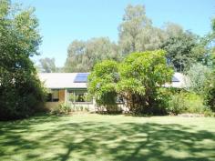  138 Greenbah Rd Moree NSW 2400 $590,000 Greenbah Address with River Frontage - Large family home overlooking the Mehi River - 4 bedrooms, all with built-ins plus a walk in robe in the main bedroom - Large separate office or 5th bedroom  - 2 bathrooms - 3 toilets - Spacious modern kitchen adjoining dining area and sitting room - Family room - Lounge room - Television room - In-ground salt water pool with covered spectator's area - Huge concreted entertaining area - 7m x 14m shed with concrete flooring and 3 phase power connected - 24 solar panels (6KW) - Ample off street parking and under cover car accommodation - Established private 3667m2 block 