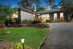  141 Karingal Dr Briar Hill VIC 3088 $670,000 - $730,000 Wonderful weatherboard appeal Perfectly placed for young families to flourish, this attractive weatherboard home set on 910m2 amid beautiful landscaped gardens on the high side of the road. Featuring polished timber floors, elevated views and a fresh modern colour palette, the beautifully presented interior includes an open kitchen/dining/living zone with stainless steel appliances and garden views, adjoining carpeted lounge with cosy wood fire, 3 comfortable bedrooms and a stylish family bathroom. A fabulous entertainer's deck creates wonderful indoor/outdoor flow and is just the place to soak up the pretty surrounds, with a built-in BBQ, lawn terraces, garden shed and cubby completing the picture. Finishing touches include ducted heating, evaporative cooling and off-street parking for multiple cars. Just a skip from the bus stop, enjoy the advantage of a choice of schools, shops and Ring Road close to hand. Features Ducted Heating Evaporative Cooling Floorboards Price Guide: ESR: $670,000 - $730,000   |  Land: 910 sqm approx 	  |  Type: House  |  ID #555113 