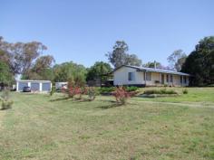  5 Pearse Street Singleton NSW 2330 $375,000 Jerrys Plains - 1.49 Acre Lifestyle Property This neatly presented 3 bedroom home is situated on approximately 6069 sqm (1.49 acres set over 3 titles) and features:  * Floating timber floors, combustion fireplace, reverse cycle air conditioner. * Separate lounge & dining areas, laminate kitchen with good sized pantry.  * Built in robes & ceiling fans to all bedrooms. * 9m x 5m covered deck, 3 bay lockable shed, fully fenced paddock. * Town water, 5000 gallon water tank, well with pump.  This property has a lovely outlook and is located approximately 25 minutes from Singleton & Muswellbrook 