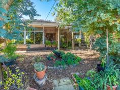  7 Belaire Terrace, Kelmscott WA 6111 $349,000 If you are looking for a real hills home with a natural bush and tree lined block then this is for you. The home is nestled away camouflaged by the fabulous natural bush front garden offering you a relaxed lifestyle and mother nature on your doorstep. OOH LA LA!! The three bedroom one bathroom home sits on a large 809m2 block in one of the best streets in Clifton Hills. The home itself has a welcoming formal entry with the spacious lounge and separate dining area accessed from here. The lounge has a fabulous outlook to the front garden and has gas heating and has split system air-conditioning for all year round comfort. The dining area can also be used as a study area if needed. There is a new feature galley kitchen to cook up a storm which has an abundance of workbench space, this was installed in 2016 along with the large stunning bathroom which has a separate bath and shower and twin sinks for those busy school day mornings. Adjacent to the kitchen is a dual purpose area, this can be used as a family/entertaining area or you could utilise it for your your casual meals, its up to you. The bedrooms are located together, all are very spacious, the main has a large built in robe and one of the guest rooms currently occupies two single beds and still has plenty of room. The bedrooms are serviced by a large laundry, separate WC and the stunning new bathroom. Other features of this home include new ceilings, new carpets to the three bedrooms, new gas hot water system installed in October 2016, fresh paint, air conditioning to the lounge and main bedroom, numerous fruit trees, rain water tank plus much more. The backyard is feature packed. A new full length patio has just been installed along with a new roll on lawn, which makes entertaining friends and family an absolute delight. The kids will love the new lawn play area and there is a large workshop with drive through access for the DIY enthusiast. All in all this is a fabulous starter home or downsizer, as there is something here for everyone. To view call now or look out for the advertised home opens, This is a super home at a super price! Features Air Conditioning Built In Robes First Home Buyer Fully Fenced Gas Heating Gas Hot Water Service Outdoor Entertaining Reverse Cycle Aircon Water Tank Workshop 