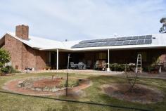  379 Ral Ral Ave, Renmark West SA 5341 $480,000 - Two huge living zones + dining - Near new kitchen - Ensuite, WIR, BIR, aircond - 4 bay garage/workshop - Great 3/4 acres block of land - Versatile corner block Contact Warren Andrews on 0418 700 600 or 08 8586 5122 RLA - 176493 
