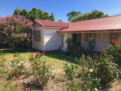  147 S Western Hwy, Waroona WA 6215 $210,000 * 2 bedroom, 1 bathroom, 2 toilet cottage on a huge 1976m2 block. * Wooden floor boards and renovated kitchen. * Big patio area, garage, workshop and priced to sell! 