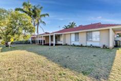   3 Carcoola Avenue Pinjarra WA 6208 $230,000 Some properties just present well and to get one of these at this price is truly a unique opportunity! Roadside is freshly painted from the ground up with well maintained lawns and gardens. Inside is very much the same which the photos cover perfectly! 3 bedrooms, 1 bathroom and a massive games room which has the option of 2 extra rooms at either end which is handy for the growing family. Out the back there is a great patio area overlooking the solid 794m2 of land. Finally, to cap it all off there is a large powered shed with a side lean to to house all the tools and toys. 