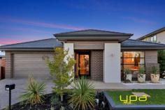  31 Bathgate Crescent Cranbourne East VIC 3977 $675,000-$695,000 This absolutely stunning Dennis Family ex-display home ticks every single box, located in the popular Livingston Estate, opposite to Casey Race Recreational Facility minutes from Casey Fields. This stunning 29.2 square* home set conveniently on a 512 sqm* block in the heart of Cranbourne East, walking distance to local parklands, Casey Center, bus services, Cranbourne East Secondary College and a short drive to the shopping center. This could be a perfect choice for those looking for a quality family home in a well sought after location. This incredible home features four spacious bedrooms plus a study, the master bedroom has two separate walk in robes and a huge ensuite with oversized shower, double vanity and separate toilet, whilst all the other bedrooms also has featuring walk in robes. The kitchen is at the heart of the home and features an enormous waterfall island bench, 900mm oven, built in microwave, dishwasher and large butlers pantry with sink and plenty of cupboard space. The kitchen overlooks the open plan living/dining area which features double sliders that open out to the stunning alfresco with built in BBQ. There is also a completely separate theatre room with double sliding doors. Other features of this fantastic home include ducted heating and cooling, alarm system, led lighting throughout, family bathroom with separate toilet, plenty of storage, double remote garage with internal access and extremely low maintenance gardens. 
