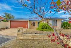  20 Cataby Place Tapping WA 6065 The light-filled interior spaces combine effortlessly with spacious outdoor living in this four bedroom, two bathroom home to provide excellent family living in the culdesac of this quaint and quiet street. Sitting on a bountiful 636sqm block of land this home offers two generous living zones including the formal lounge and dining which greets you upon entry, and the more private family entertaining and meals areas flowing on from the gourmet kitchen which is equipped with gas cooking and butlers entry. The master bedroom bathes in natural light, presenting an ensuite with large built-in robes to provide private and comfortable living, while the three other bedrooms are well equipped, a separate study also for the kids at school or the home office for the professional. The backyard with vast space offers an alfresco patio area for entertaining and playing with more than enough area to add a pool! PARKING?! Nothing to worry about here with a large mass of space to park your truck, caravan, boat (or light aircraft?!) in the lockable side access section. Surrounded by quality homes and parklands and close to Shopping, Schools and Public Transport this property is perfectly positioned in Tapping for busy professionals and growing families alike. FEATURES Spacious Bedrooms Formal Lounge and Dining Separate Study Modern Kitchen with Butlers Entry Wood Flooring Ducted Air Conditioning Additional Lockable Side Access Parking for Truck, Boat or Caravan Enclosed Courtyard and Alfresco Land Size 636sqm Quiet Culdesac Location Close to Schools, Shopping and Transport LOCATION Banksia Grove Village 800m Tapping Primary School 1.6km Carramar Golf Club 2.4km St Stephens School 2.5km Joseph Banks School 2.5km Lakeside Shopping Centre 6.7km Mindarie Marina 11.9km Hillarys Boat Harbour 20.3km Perth City 34.6km 