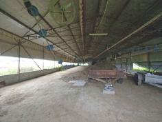  2544 Wisemans Ferry Road Mangrove Mountain NSW 2250 $2,950,000 Currently disused for chicken growing and waiting for an entrepreneurial grower to take advantage of the 7 chicken sheds, this farm is located on level land of 5.1 hectares (12 acres). The owner says there is plenty of spring water from 3 bores one licensed for 18 meg with on-site rainwater storage as well. The large family home the vendor estimates is 300 m2 downstairs and 150 m2 upstairs, could be set up to accommodate 2 families, but currently has 7 bedrooms, master with ensuite and walk in robe, formal lounge and dining area, TV room, Eat in kitchen and family area. The double garage has been converted to a work room and there is also an office. The rear verandah which has a 90,000-litre water tank underneath as described by the vendor, overlooks the in-ground swimming pool and onwards towards the farm. The sheds where used for growing chickens for many decades and have in part been upgraded by the previous owners. The current owners bought the property in 2003 and farmed for a few years after that, but the farm has been left disused for many years. In total, there were 8 sheds and the vendor said that would provide a total capacity of about 137,000 birds. The last batches the vendor said they grew on average 5.5 batches a year, roughly 17,000 birds per shed (total at that time 7 operational sheds) - around 654,500 birds per annum @ 5.5 batches. The property is tired, the house and chicken sheds need work, but for a good business minded astute farmer, progressive upgrading of this farm may with appropriate grower contracts and approvals, turn this tired old farm into a great money earning venture. The land is zoned RU1 - Permitted without consent; Extensive agriculture; Home occupations; Horticulture; Viticulture. Permitted with consent; Animal boarding or training establishments; Aquaculture; Bed and breakfast accommodation; Dwelling houses; Environmental protection works; Extractive industries; Farm buildings; Farm stay accommodation; Forestry; Garden centres; Home-based child care; Intensive livestock agriculture; Intensive plant agriculture; Landscaping material supplies; Open cut mining; Plant nurseries; Recreation areas; Roads; Roadside stalls; Rural industries; Rural workers' dwellings; Secondary dwellings; Veterinary hospitals; Water  Storage Facilities. 