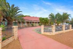 7 Jordan Street Broadwood WA 6430 $699,000 Look no further - it has arrived. Big house and big block - what more could you be looking for? -2013sqm block  -Brick and Iron Structure -House built in 1998 -4 bedrooms, with robes -2 bathrooms -Study -Games room -Open plan living  -Below ground Pool -12 x 8 powered shed -Gabled Patio -Established gardens and pergola area -Close to airport facilities -Close to schools, shops and sporting facilities  Currently leased at $650 per week until early August 2019 but then available for you to move in and enjoy. Inspections arranged on your request. Council Rates: $3545.02 p/a Water rates: $205 p/a Block Size: 2013sqm Zoned: R20 PROPERTY FEATURES Formal Lounge Air Conditioning Built-In Wardrobes Close To Schools Close To Shops Close To Transport Fireplace(S) Garden Secure Parking Pool 12X8 Powered Shed\ 