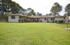  3119 Beechmont Rd Witheren QLD 4275  $989,000 This is a rare opportunity to acquire three homes for the price of one, a Five Acre "Boutique Equestrian" property that is divided into four good sized paddocks backing onto the "Coomera River" with amazing views of the surrounding Ranges, Located just 5 minutes from the popular Country Town of Canungra which is a comfortable 15minute drive to Nerang and the Pacific Hwy.  The Main Residence has four bedrooms three with built in robes, the master with a walk-in, with ensuite with a separate main bathroom and laundry, an open plan lounge, Rumpus and separate formal dining room, Kitchen with country styled timber cupboards and granite work tops, stainless steel appliances with gas cooktop and fan forced oven dishwasher etc, a wood burning fire place, ducted air conditioning and ceiling fans throughout. There is a large salt chlorinated in-ground pool and a Carport with parking for three cars plus a large covered parking area for a Boat & Caravan, with a separate workshop or office, with a separate 5kw back to the grid Solar System plus hot water system. The separate one bedroom Granny Flat has had a complete makeover is fully self contained with a split system A/C plus ceiling fans and could be used for Air B&B with a huge demand in this location. The Cottage is large and comfortable with a timber deck and inviting rural views, one bedroom with built in robes, a split system air-conditioning & Ceiling fans, a compact kitchen and modern bathroom. This fully fenced property includes a netted orchid of fruit trees and an established veggie patch, plus a fully enclosed set of dog kennels with runs and finally, a fully covered and enclosed area for the "Chooks" As you walk around the property you will be aware of the well manicured gardens that the current owners have loved and cared for over the years! The current owners have to down size and move on. For Inspections of this property please call John on 0412 571 900.   Airconditioning, Broadband, Built In Robes, Courtyard, Deck, Dishwasher, Ducted Cooling, Ducted Heating, Ensuite, Fully Fenced, Grey Water System, In Ground Pool, Open Fireplace, Open Spaces, Outdoor Entertaining, Pay TV, Rumpus Room, Secure Parking, Shed, Solar Hot Water, Solar Panels, Split System AirCon, Split System Heating, Water Tank, Workshop, 