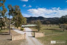  299 Tintinhull Road Tintinhull NSW 2340 $575,000 Situated on a picturesque spot in Tintinhull is this amazing family home that offers so much lifestyle and space for the whole family. This lovely home has expansive open plan living which is warmed by a wood fire and reverse cycle air conditioning. A classic timber kitchen overlooks an enormous entertaining area and mountain views that are stunning. 4 spacious bedrooms plus a large office and built in cupboards. There is access from the double garage into the laundry, kitchen and mud room. The in-ground swimming pool will be the relief from the heat during the summer months and this home also has a fully fenced boundary and electric gate entrance. 4 x 5000 gallon water tanks plus bore water. The shedding on these acres are amazing, with ample room for cars, trucks, caravans and motor bikes. This dream property is ideal for horses and is located only 10km from the CBD. Land size 2.02 ha and rates $980 annually. 