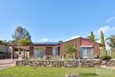  174 Eddystone Avenue Beldon WA 6027 $415,000 Looking for the next project? Great opportunity to retain existing house and potentially subdivide*. Set in an elevated position just off the main street, there is a sense of privacy about this conveniently located abode. Perfectly situated just a short stroll away from lovely local parks, Belridge City Shopping Centre, Belridge Secondary College and Edgewater Train Station. A handy proximity to the freeway is simply an added bonus, whilst Beldon Primary School, Craigie Leisure Centre, Westfield Whitford City Shopping Centre and pristine northern beaches are all only minutes away in their own right. Easy-care flooring throughout the interior makes living very easy here, with the spacious front lounge benefiting from built-in shelving, split system A/C and electric roller shutters. A casual open plan meals area is overlooked by a stylish, modern kitchen with stainless steel appliances, a storage pantry and ample cupboard and bench space. The chef of the home will love cooking for family and entertaining friends. A study nook with built-in desk completes this part of the home. The minor bedrooms are double in size, whilst the master is queen size and boasts a large mirrored robe with built-in shelving. The well-appointed main bathroom is of modern design, featuring floor to ceiling tiling, vanity and in bath shower. At the rear, a fantastic patio entertaining area caters for occasions big and small, preceding a spacious back garden with raised garden beds and grassed area for kids and pets alike. Step down to another huge area, currently utilised as a kids play area. Enjoy the space or explore the potential to subdivide* and prosper. Features include, but are not limited to: – 	 Queen size master with huge mirrored robe, featuring built-ins – 	 Minor bedrooms are double size, with bedroom 2 featuring a mirrored robe with built-ins – 	 Sleek and white modern main bathroom with vanity, shower, bath and heat lamp – 	 Laundry with storage and bench space – 	 Modern kitchen with heaps of cupboard space, pantry and microwave recess – 	 Study nook with built-in desk – 	 Neutral tones throughout – 	 Stylish light fittings – 	 A WHOPPING 24 solar panels help make this an eco-friendly home – 	 Security door and screens – 	 Cool Breeze evaporative A/C – 	 Single carport, but parking for 2 cars in the area – 	 Extensive paving – 	 2 large sheds – one powered – 	 Block size 717m2 approx – 	 Built in 1985... 