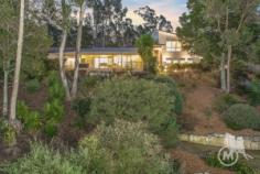 12 Birdsong Place, BUNYA QLD 4055 | Madeleine Hicks Real Estate Brisbane