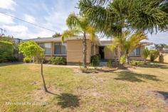  8 Lurline Street Orana WA 6330 $350,000 You get a lot of property in this exciting package – a big four-bedroom home, a separate games room, two garages plus two shed-workshops and all on a fabulous corner 1,075 sqm block. In an established family-friendly suburb five minutes’ drive from town, this property offers numerous options for families, or for investors recognising its strong appeal to tenants. The star of the show is the generous brick and tile home, which is in good condition and clean throughout. New owners just need to add their touches to the decor to create a generous family home, however it will not take much to make this home sparkle. Opening off the front entry hall is an air-conditioned lounge, which opens onto a handy office and the adjoining kitchen which has been modernised with plenty of attractive cabinetry, gas cooking and a walk-in pantry, the kitchen is a treat looking out over the backyard with its raised vegetable gardens and fruit trees. There are two bathrooms, one as an en suite to the master bedroom and the main one for the other three family bedrooms. All are doubles and two have built-in robes. There’s also a family room, with glass sliding doors leading onto the veranda that provides a sheltered seating spot overlooking the garden. Further down the garden is another major drawcard – the big games room with its own enclosed deck, a tile fire and toilet that adjoins the two large workshops This area is sure to be a popular spot for family recreation or as a teens’ pad. The two shed-workshops have power, large doors and have their own direct access from Lurline St through double gates. The two garages on the main house, both with remote-controlled doors, are under the main roof and have direct access to the house through the office or on to the verandah. With lawns front and back, grapevines, fruit trees and raised veggie beds make up some of the attractions making the most of this tidy 1,079sqm block, which will please children of all ages as well as keen gardeners and the boys with their toys. This extensive property is perfect for active families, and with schools, TAFE and a supermarket close by. If workshop space, an abundance of garaging and a big home are important than this home is well worth a look. Get in quickly to view this extensive property, which is sure to have wide appeal in this price bracket. What you need to know: – Brick and tile home – 1,075 sqm corner block – Air-conditioned lounge – Family room – Sizeable kitchen with attractive cabinetry, walk-in pantry – Sheltered rear veranda – Freestanding games room with own deck and wood fire – Office – Master bedroom with en suite bathroom and built-in robes – Three double-sized family bedrooms – Main bathroom with bath and shower – Laundry – Double garage with direct access to home – Double shed-workshop – Garden shed – Council rates $2,218.50 – Water rates $1,427.45.... 