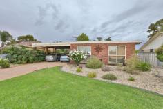  581 Karadoc Avenue Irymple VIC 3498 $260,000 - $286,000 Call to arrange a virtual inspection or private viewing of the property. With a large lot size of 1014sqm and a sturdy double-brick construction, this is a home that will last the test of time. A host of updates have already been completed so you can simply move in and enjoy plenty of space, peace and privacy. The layout is inviting and spacious with three bedrooms, all with robes, and two bathrooms including the master bedroom ensuite. The main bathroom has been updated and the laundry facilities are separate. An open-plan living and dining space is ready for those who like to entertain while the home chef will adore the updated kitchen with a dishwasher and an electric oven and cooktop. Gas heating and evaporative cooling ensure year-round comfort. Outside, the huge landscaped yard offers a 7x4-metre shed with power and a concrete floor as well as an air-conditioned bungalow. This charming home is located close to fuel, shops and the local bus service. For investors, the home is currently leased for $320 per week on a periodic basis FEATURES: • 	 Built-In Wardrobes • 	 Garden;Air Conditioning.. 