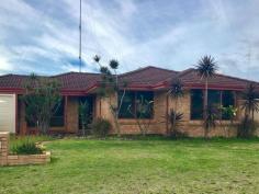  2 Palmerston Street Waroona WA 6215 $299,000 New to the market and priced to sell is this great property with so much potential. Located on a side street just off the main highway of town is this 3 bedroom, 1 bathroom brick and tile home. Big patio, great entertaining area with pizza oven, nice lawn area and separate from the big shed. The block is separated into two, one side is the home, yard and entertaining area, the other is great access to half the block and big shed with overhead gantry crane. The property is Zoned (Town Centre) Urban 1 so it has the potential for commercial or residential use of the the best of both worlds, work from home. The opportunities are endless. Call me today for an inspection. 