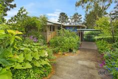  25 Glendarrah Street Hazelbrook NSW 2779 This cute mountain cottage is an ideal entry level home to the much sought after Hazelbrook market. Set in a quiet leafy street in a premium location. A short stroll to the local shopping centre, cafes, restaurants, post office, bush walks. Public transport nearby, with easy access onto the Great Western Highway. Minutes to local schools, central to major townships of Springwood and Katoomba. This single level home is positioned on approx 1819m2 of beautiful permaculture gardens with enormous potential to extend, renovate or knock down and rebuild . Zoned R2. This lovely home offers an open plan living, dining and kitchen area that flow onto a gorgeous covered Merbau deck with stunning bushland vistas perfect for those alfresco dining moments with family and friends. The home offers an abundance of natural light with a northerly aspect. There is an updated kitchen with gas cooking , 2 generous bedrooms with built-in, a large enclosed sunroom/gazebo area. There is also a separate council approved self contained studio with bathroom, used for guest accommodation or teenage retreat. Fully insulated the studio is open planed with a Mezzanine level, floating timber flooring and a small private deck that enjoys a bushland outlook. FEATURES – Timber floorboards, carpets in bedroom, split system air conditioning, curtains, large storeroom/workshop, under house storage, single carport, natural gas/ gas bayonet, laundry, water tanks, sheds, compost bays, low maintenance sustainable gardening, solar panels and solar hot water. This is a rare opportunity not to be missed. 