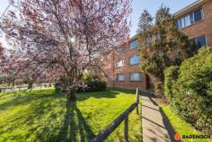  10/113-115 Knox Street Watson ACT 2602 $279,000 This gorgeous, ground floor apartment is ideally located in the heart of Watson. As soon as you step inside you feel the warmth of the timber look flooring are welcomed by the well-lit open plan living and kitchen area. The kitchen has been tastefully updated and features ample storage, an abundance of bench space and is equipped with stainless steel appliances. The living room has the additional convenience of a reverse cycle air conditioner which ensures you stay comfortable year-round. With convenience in mind the home also boasts two spacious bedrooms with built in robes to each, a covered car space and plumbing to set up your own washing machine. Within close proximity to Dickson Shopping Precinct and the local Watson Shops with an array of restaurants, bars, groceries and shops all available. Why not stroll down to ‘The Knox Made in Watson’ for a weekend brunch or enjoy the short drive or even bike ride to Saturday’s Farmers’ Market. With the tram stop just off Philip Avenue the City has never been more accessible, ensuring effortless travel to some of the best restaurants, cafes and bars in Canberra. You are in for a treat! This ground level two-bedroom apartment has everything you need! Spacious in size, natural light beaming throughout and a fantastic location. The functional layout and the great location are the perfect opportunity for first home buyers and investors alike. Features of this property include: 2 bedroom apartment Ground floor location Built in robes to both bedrooms Reverse cycle air conditioning to living Kitchen with an abundance of storage and bench space Bathroom with bath tub Single car space.. 