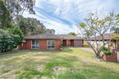  31 Taylor Ave Thornton NSW 2322 $485,000 Set on a level 629m2 block, this is a great home for the growing family or an ideal investment with plenty to offer. Comprising of 4 bedrooms, all featuring built in robes. The spacious living room is located at the front of the home with a separate open plan living and dining space located off the kitchen. Plus an additional dining space. The updated kitchen offers plenty of bench space and storage options. Step outside to the completely undercover and fully enclosed entertaining area, large enough for families who enjoy entertaining all year round. Other key features include split system air conditioning units, ceiling fans, bathroom with separate toilet, laundry, garage with additional workspace and a fantastic size level rear yard. 31 Taylor Ave, Thornton is located just 550m to local shopping facilities and 800m to local schools and childcare. For more information or to arrange an inspection please contact Aimee Burns on 0422 926 376. 