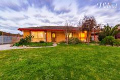  590 Zago Court Lavington NSW 2641 $359,000 Beautifully presented and cared for, this 4 bedroom home offers spacious living, terrific shedding, a court location & set on an 837sqm block. The home was extended, adding a 4th bedroom, 2nd living and ensuite. The formal lounge includes a gas heater, ducted cooling throughout, floated timber flooring & meals area. The renovated kitchen offers a dishwasher, electric appliances, good benches and storage. The home also includes built-in robes throughout, main bathroom, separate toilet and separate laundry. The master bedroom was added on featuring a walk-in robe plus an en-suite. The second living space could be a parents retreat or home office, with easy access to the rear yard. The property features 14 metres of shedding, workshop and storage by nearly 5 metres wide, plus a carport in front of all of that. It is impressive. AND, there is still plenty of yard space for the family and friends. The location is exception. Hidden away in a court location. There's a bus stop at the start of the court, schools in several locations near by and well looked after properties in the court too. 