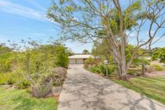  10 PANORAMA Circuit BENARABY QLD 4680 $585,000 Are you looking for a spacious family home with immaculate and captivating design? Then 10 Panorama is the property for you! Built on approximately 4032 m2 of land this property is sure to impress! FEATURES: - Master bedroom with A/C, walk in robe and ensuite with spa and shower combo. - 3.85m x 3.8m - 2nd and 3rd bedroom serviced with built in robes and A/C - both 3.25m x 3.45m - 4th room with built in desk, and A/C, could be turned into 4th bedroom. - 3.25m x 3.45 m - Spacious First lounge off kitchen with fire place - 5.4 m x 4.6 m - Second lounge and dinning off kitchen on other side. Lounge - 4.8m x 4.95 m - dinning - 4.0m x 3.25 m - Spacious kitchen with standing electric oven, dishwasher and plenty of space - Large laundry with linen cupboard - 2.1m x 3.2 m - Bathroom with separate toilet, shower and bath - Fans through out home - Covered in patio along the side of the house adding extra light ideal for that extra privacy - Spacious back deck entertainment area over looking pool. - Concrete pool with swim jet provides a completely private oasis. - Back yard equipped with 2x green houses, Garden shed, and entertainment hut with fire place. - Large enclosed garden area with lemon and banana trees, along with large raised garden beads. -Enclosed penthouse roosting loft shed with a large chook pen area - 2x 10,000 gallon rainwater tanks - Fenced yard and solar to the house - Double colorbond shed with room for 4 vehicles - Double remote garage with access into the home - Single carport area Call Deardrie today to arrange an inspection. 