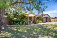  1/9 Coral Crescent Broadwater WA 6280 Make this home your own! Plenty of upside with this property offers fantastic value for Busselton, this light bright home sits on a prime 775m2 block on a quiet street only 650m to the waters of Geographe Bay. Being on a corner, good side access available for a boat, caravan and/or trailer. Please call Chris Rigoll on 0408 000 632 for more details INSIDE FEATURES: - Large home with plenty of room for visitors - Huge lounge room with combustion fire and two split systems. - Centrally located country kitchen with electric oven and hotplate. - Good sized master bedroom with walk in robe and ceiling fan. - Three further double bedrooms - Family bathroom with bath, separate shower, vanity & W.C. - Large laundry room off the kitchen and shopper's entrance to the double lockup garage. - Electrical hot water system OUTSIDE FEATURES: - 650m to Geographe Bay - Side access available - Gabled A frame alfresco entertaining area - Double lockup garage - Reticulated lawns and gardens off a bore - Connected to town water and deep sewer - Block size 775m2 NEARBY FACILITIES - Bus Stop 100m (by foot) - Busselton Hospital 1.8km - Busselton Jetty 4.1km - Town Centre 3.8km - Geographe Bay 650m - Boat Ramp 670m - Shopping Centre 1.9km - Primary School 1.4km - Busselton Senior High School 2.2km - Park 150m (by foot) (Distance are approximate, by road unless otherwise stated.) 