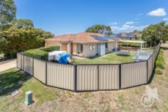 20 Evergreen Parade, GRIFFIN QLD 4503 - Madeleine Hicks Real Estate Brisbane