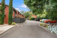  5/62 William Street Norwood SA 5067 $319,000-$339,000 Recently updated throughout, this beautifully presented ground floor two bedroom unit offers the lifestyle others only dream of. Featuring: • 	 Two spacious bedrooms; master fitted with built-in-robe • 	 Open plan living with split system heating and cooling • 	 Light filled kitchen, well equipped with large work surfaces and ample storage • 	 Double sink, dishwasher and stainless steel appliances • 	 Updated central bathroom • 	 Private and secure courtyard • 	 Undercover car park Zoned to Rose Park Primary and Marryatville High Schools. This secluded gem is magnificently located a short stroll to The Parade, with easy access to the CBD, Burnside Village, restaurants, cafes and shopping precincts, parklands and much more! Offering the astute buyer the opportunity to enter the market, downsize, add to their investment portfolio or an ideal lock up and leave Adelaide base. Low maintenance and ready to move straight in - just unpack your bags. For all other enquiries or to book a time to inspect call Laurie Berlingeri on 0412 515 259. On behalf of Ray White Adelaide City, we try our absolute best to obtain the correct information for this advertisement. The accuracy of this information cannot be guaranteed, and all interested parties should view the property and seek independent advice. FEATURES: • 	 Air Conditioning • 	 Built-In Wardrobes • 	 Close To Schools • 	 Close To Shops • 	 Close To Transport.. 