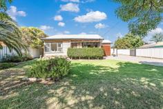  20A Martin Street Moama NSW 2731 $265,000 Need a house for one or two? Here is a very affordable delightful freestanding home within a short driving distance to central Moama. This home has wonderful street appeal surrounded by established trees and is well presented and cared for inside. It also has a lovely cottage feel with separate cosy living and dining rooms. The Kitchen comes with a dishwasher and an upright oven with gas cooktop. Offering 2 bedrooms with BIR's, central bathroom, Second shower and laundry. Kept cool with evaporative cooling and a pot belly style gas heater. Enjoy your summer balmy evenings under your private decked entertaining room and all within a short trip into the town centre. There is opportunity to update and improve, but ideal to just move in and enjoy. FEATURES: • 	 Air Conditioning • 	 Built-In Wardrobes • 	 Close To Schools • 	 Close To Shops • 	 Close To Transport • 	 Polished Timber Floor. 