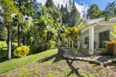 51 High Chapparal Road, Kuranda, QLD 4881 3.2 GORGEOUS ACRES - ONE STREET FROM THE STEINER SCHOOL Loads of opportunity here - Opportunity to expand or add - Opportunity to be living in a quiet environment but close to everything - Opportunity to add value - Opportunity to use some of the amazing timbers on the property and create something special. This property for sale offers so much for such a small price tag. The home is solid block construction with two true bedrooms, but the second living area could easily be a third and even fourth bedroom. There is a wooden structure / shed / studio, with plumbing close by behind the home - great potential there! Priced to move fast! Call Sonia Poole on 0407 028 388 for further information or to arrange an inspection. Ray White Smithfield Unit 8, 2-4 Stanton Road Smithfield, QLD 4878 +61 (7) 4038 9200 