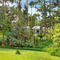  51 High Chapparal Road, Kuranda, QLD 4881 3.2 GORGEOUS ACRES - ONE STREET FROM THE STEINER SCHOOL Loads of opportunity here - Opportunity to expand or add - Opportunity to be living in a quiet environment but close to everything - Opportunity to add value - Opportunity to use some of the amazing timbers on the property and create something special. This  property for sale  offers so much for such a small price tag. The home is solid block construction with two true bedrooms, but the second living area could easily be a third and even fourth bedroom. There is a wooden structure / shed / studio, with plumbing close by behind the home - great potential there! Priced to move fast! Call  Sonia Poole  on 0407 028 388 for further information or to arrange an inspection. Ray White Smithfield Unit 8, 2-4 Stanton Road Smithfield, QLD 4878 +61 (7) 4038 9200 